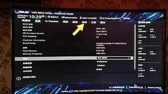华硕主板bios启动项无硬盘_华硕主板bios启动项无硬盘但是pe有