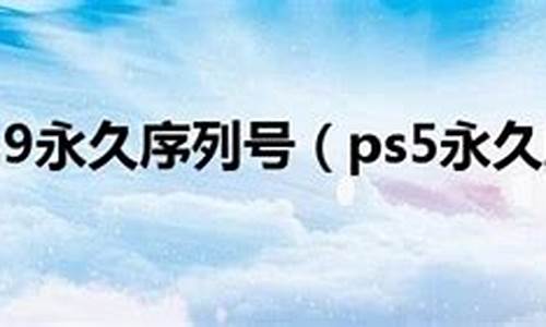 ps5永久序列号 2014_ps5.1序列号